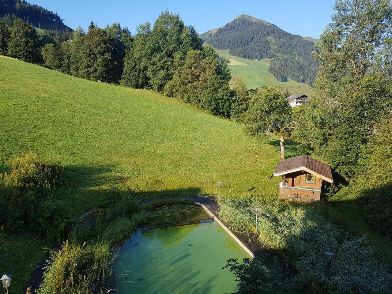 Hotel In Out Unterellmau Saalbach-Hinterglemm